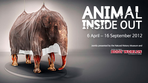 ANIMAL INSIDE OUT – The BODY WORLDS exhibition of Animals