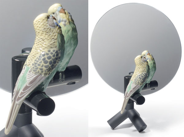 parrot1.jpg