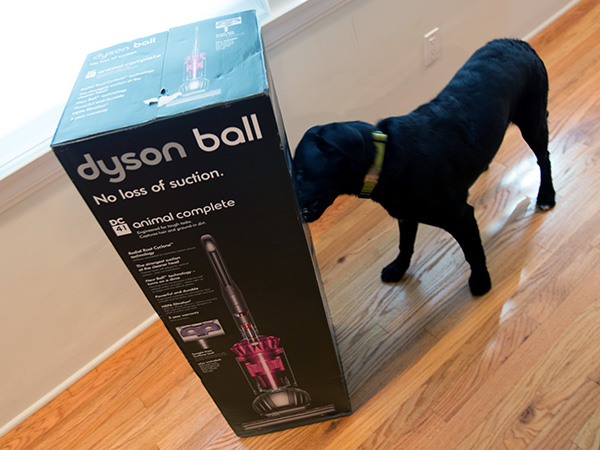 Dyson DC41 Animal Complete + Groom Tool (NOTCOT)