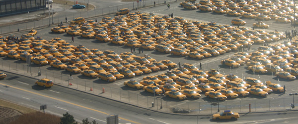 taxis.jpg